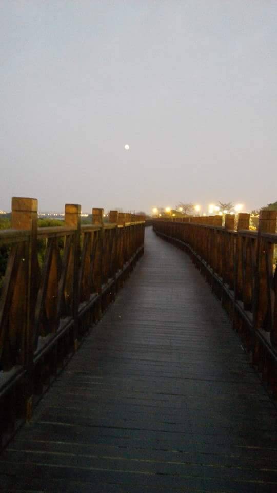 河堤木棧道入夜的燈
